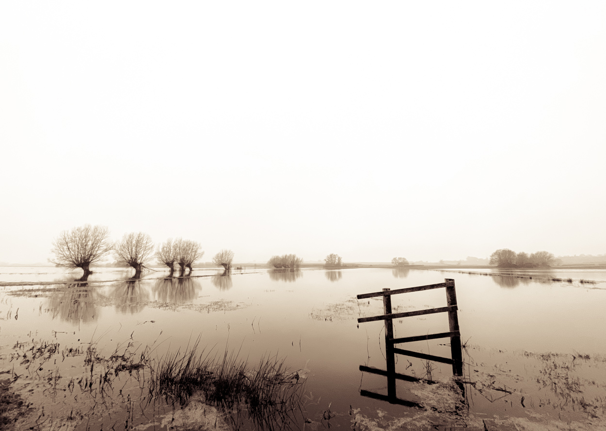 The Sepia Flooding