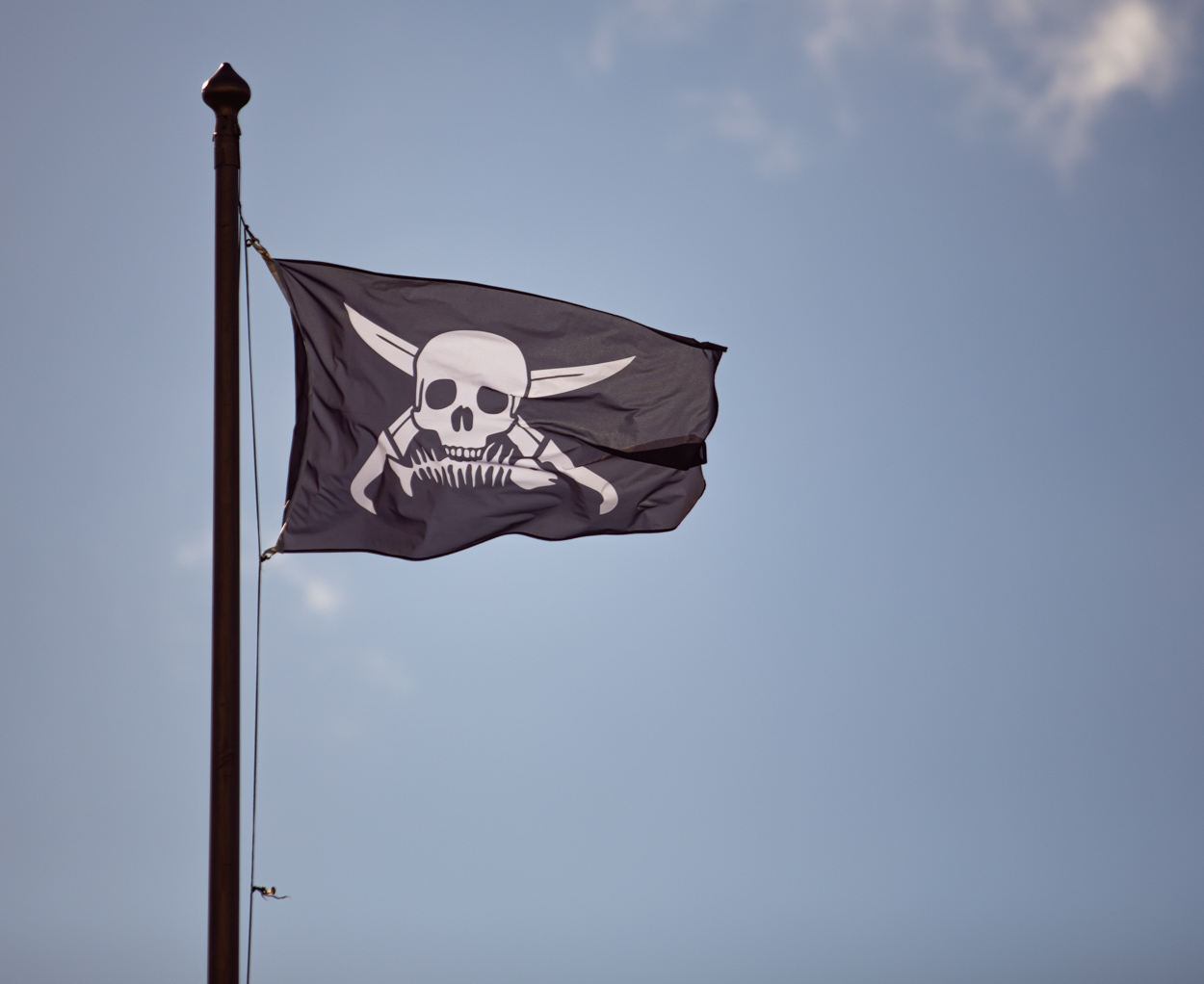 The Pirate Flag