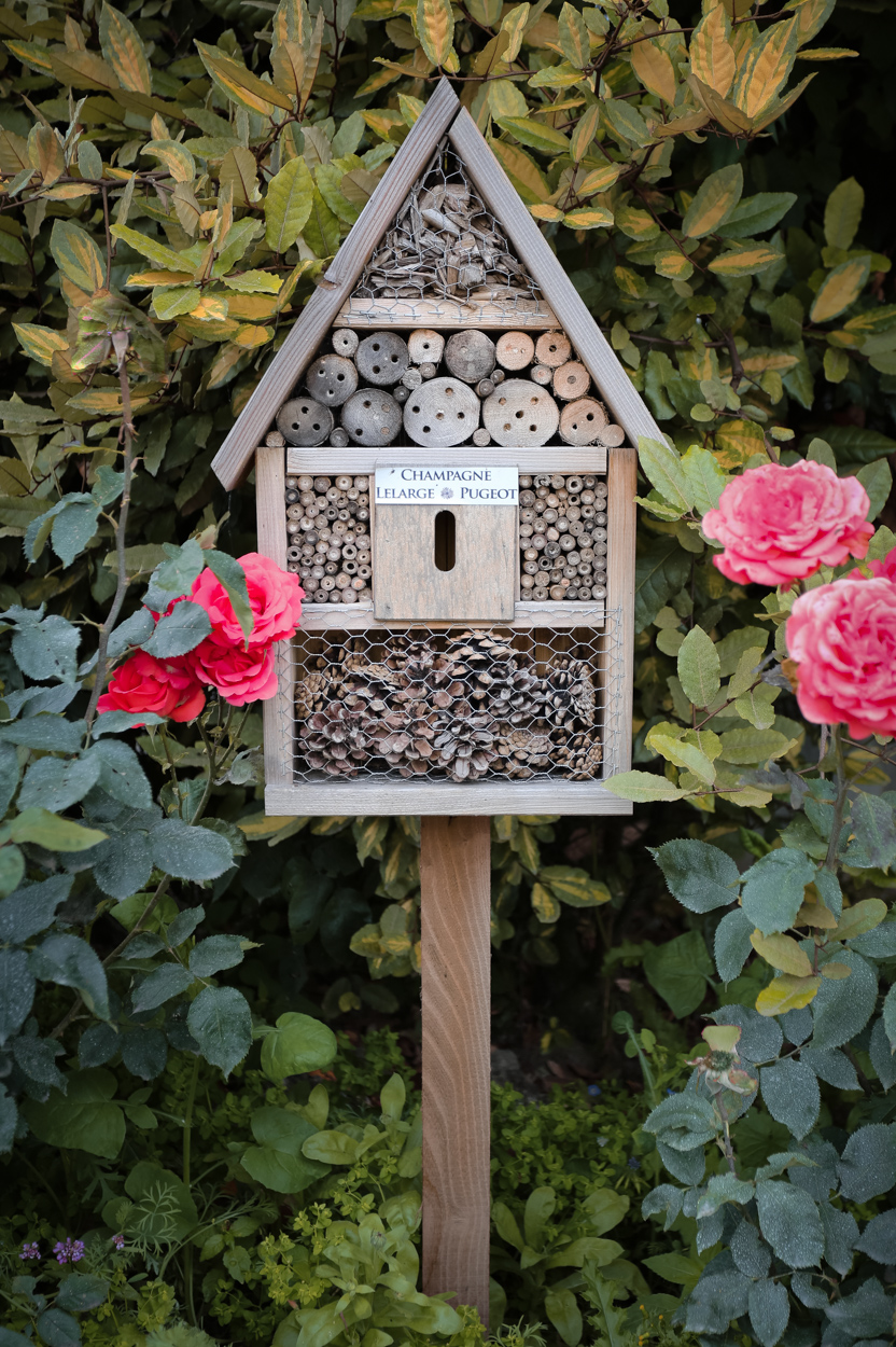 Champagne Bee Hotel