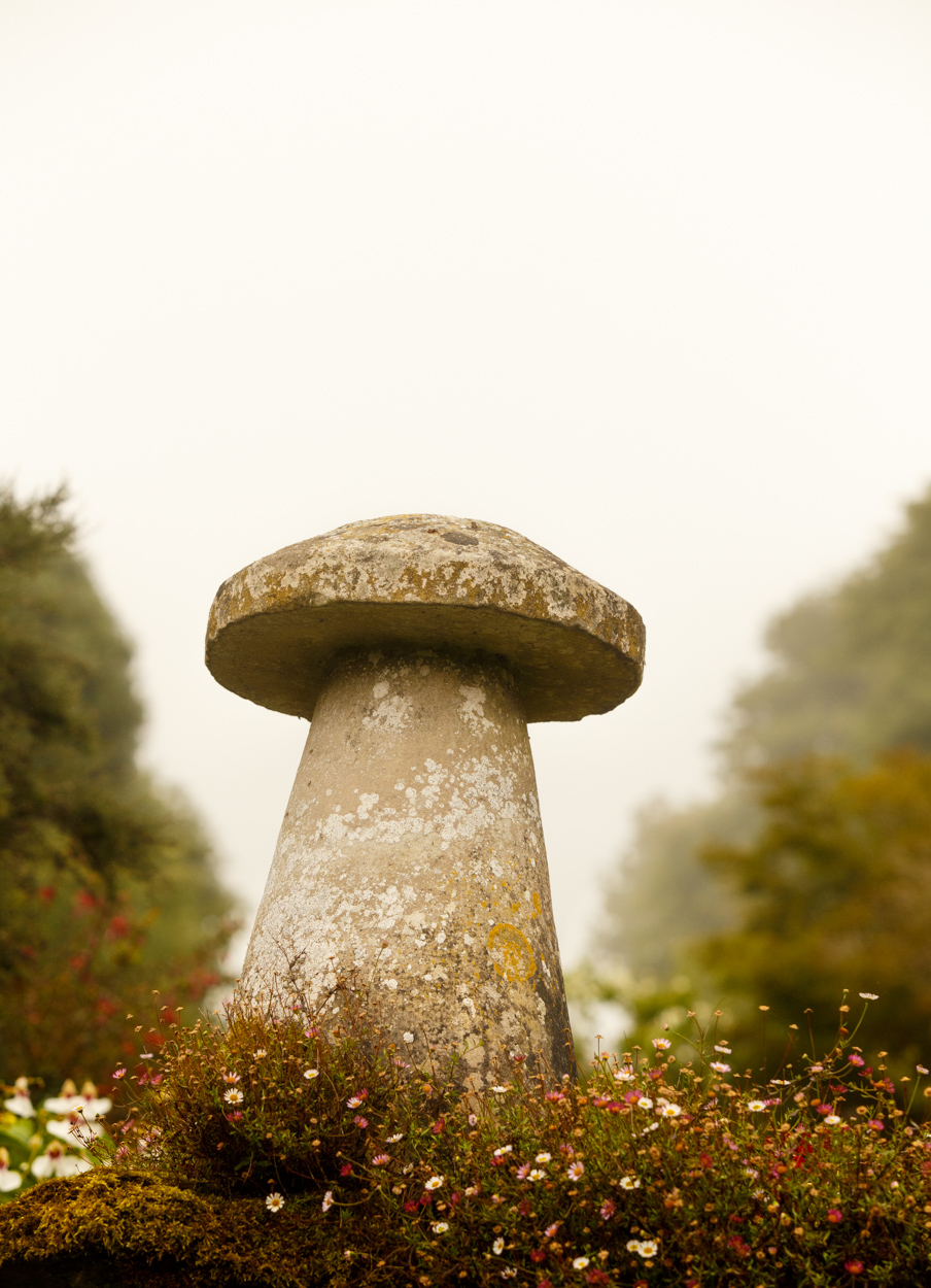The Stone Mushroom