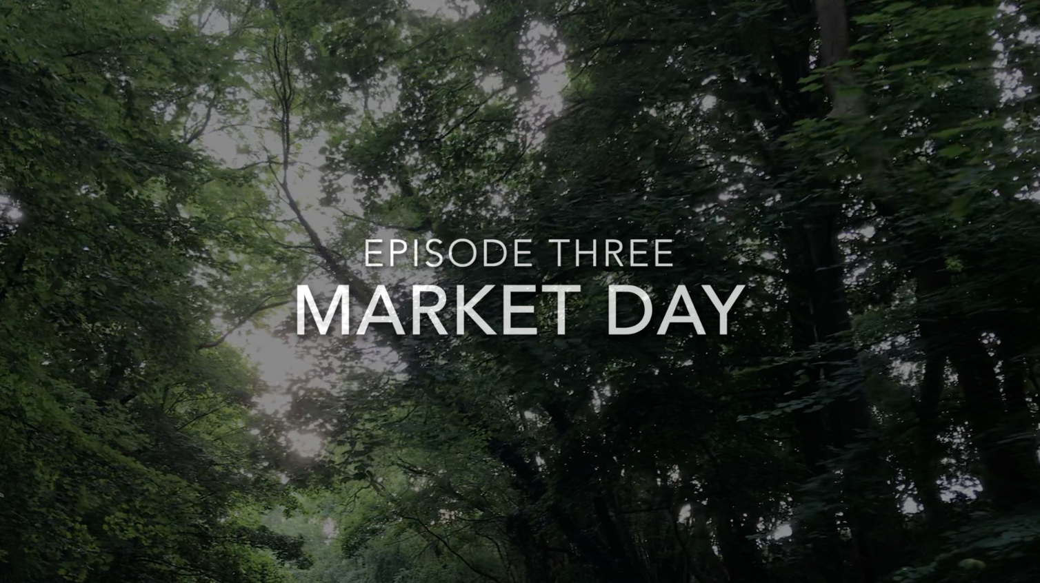 Episode 003 – Market Day