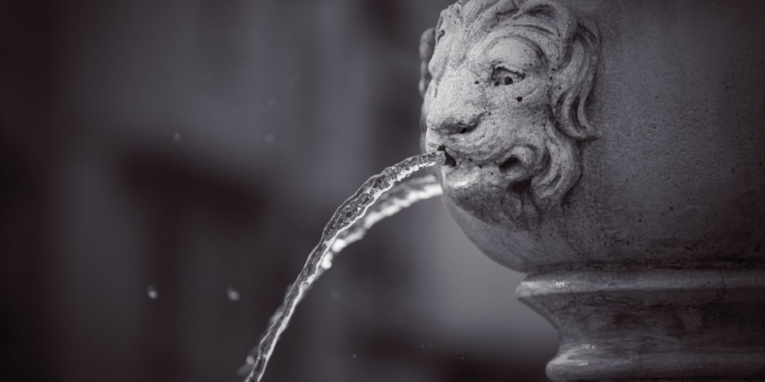 The Liquid Lion