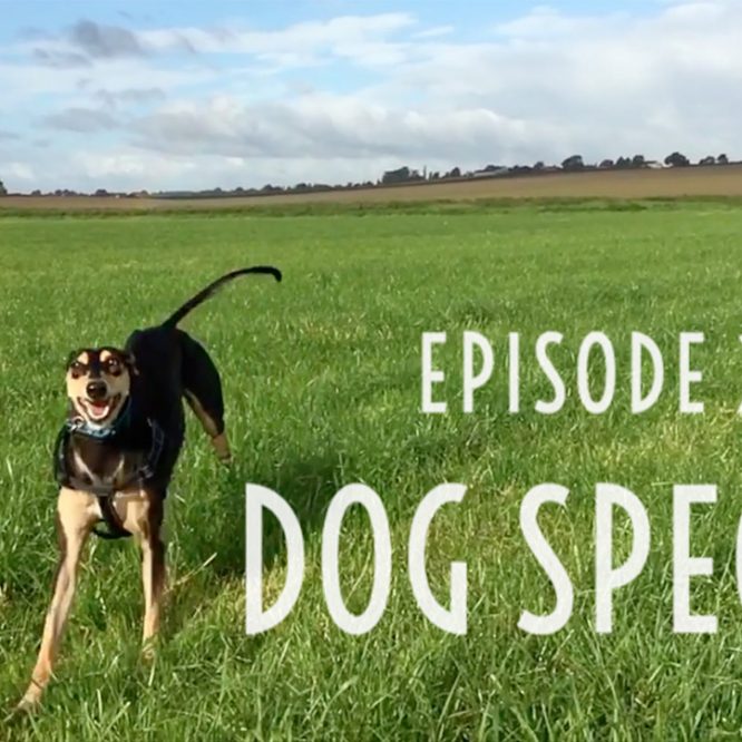 Episode 21 – Dog Special