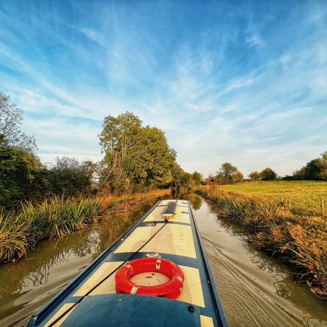 Every Dog Has His Day