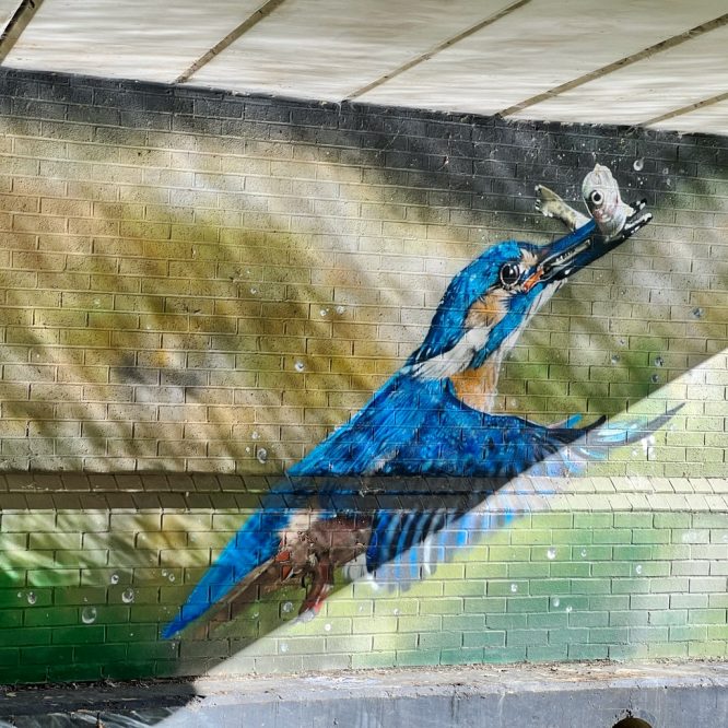 The Kingfisher on the Wall