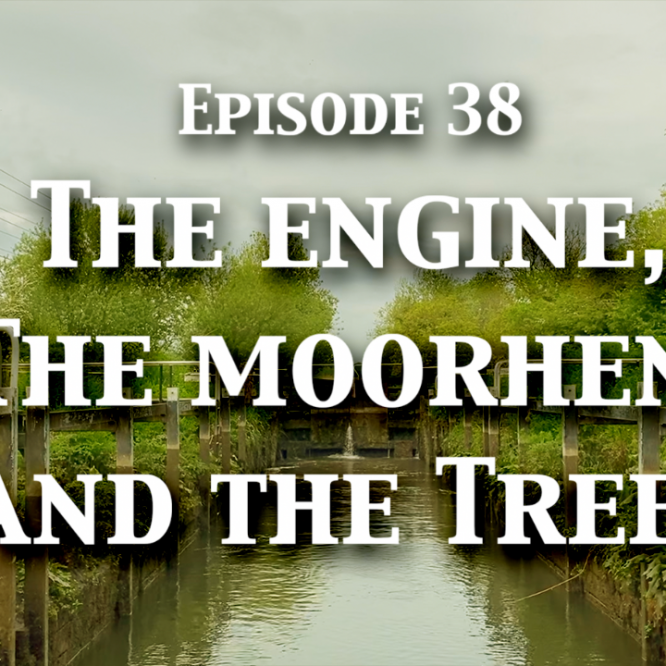 Episode 38 – The Engine, The Moorhen, and The Tree