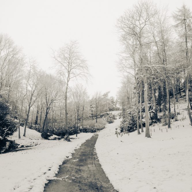 The Snowy Path