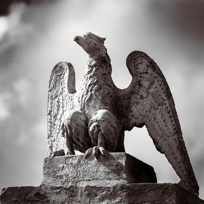 A Maltese Falcon